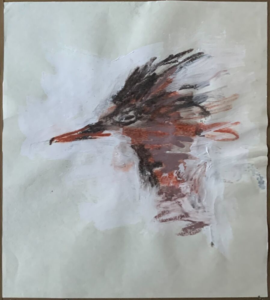 Koskeloräppi, (otteita päiväkirjasta)